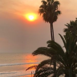 Meet your Posher, Jeselle